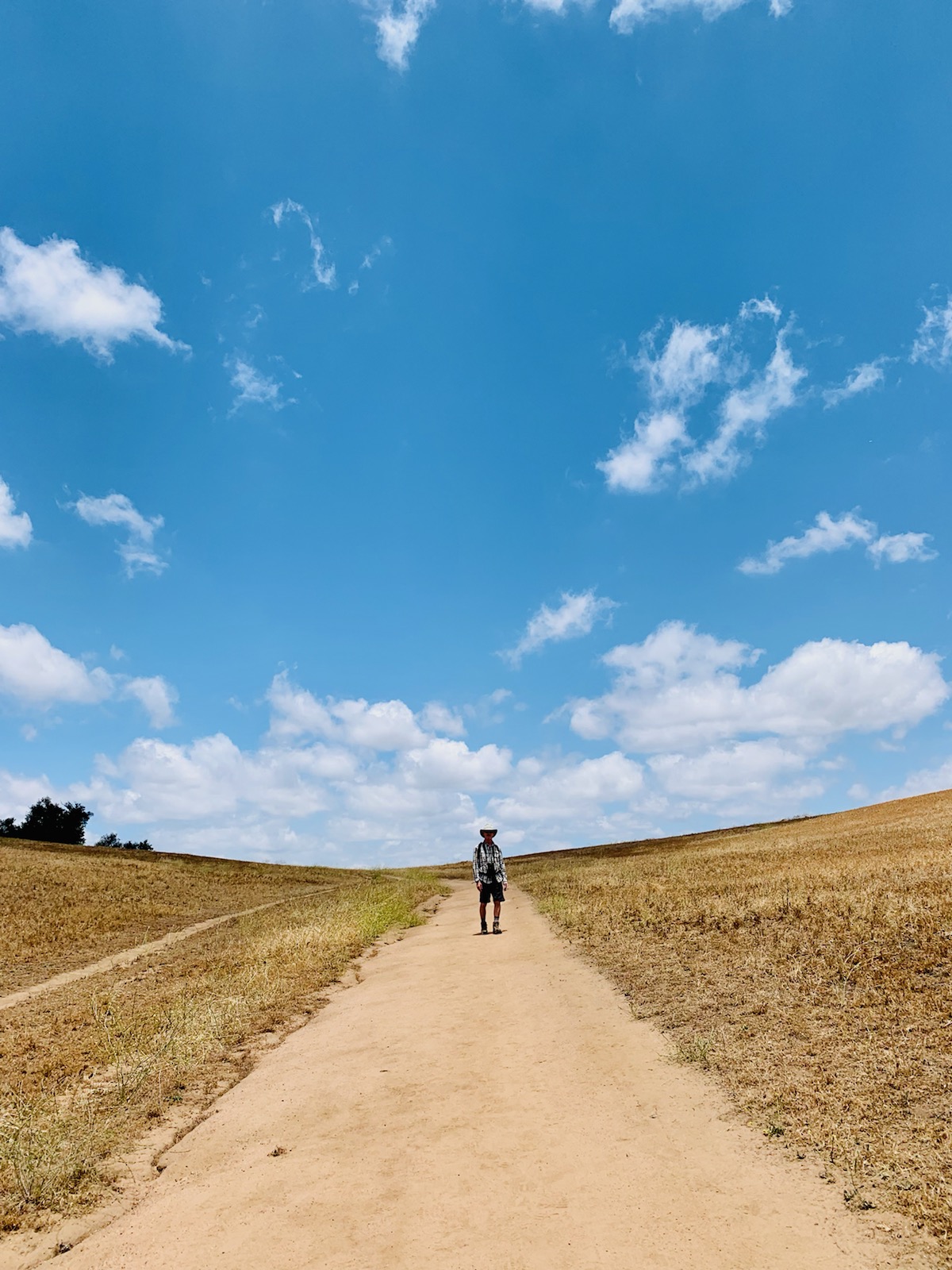 Ramona grasslands